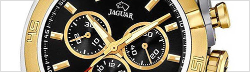 Jaguar Jaguar