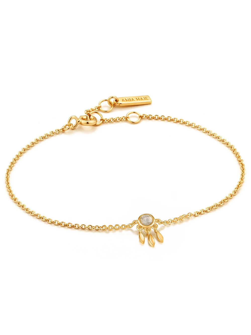 5052469004056 - ANIA HAIE Armband Forget Me Knot B026-02G 5052469004056 - ANIA HAIE Armband Forget Me Knot B026-02G