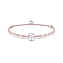 Thomas Sabo Armband LS125-401-19